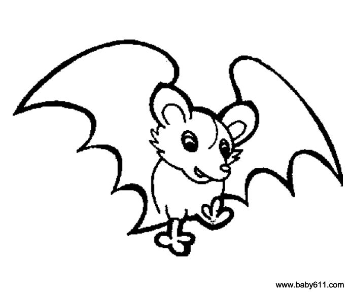 儿童简笔画：蝙蝠