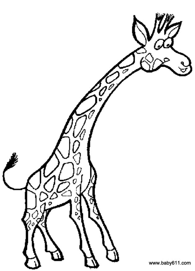 儿童简笔画：长颈鹿